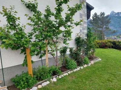 Ein Garten an der Unterkunft Privatzimmer Pendl