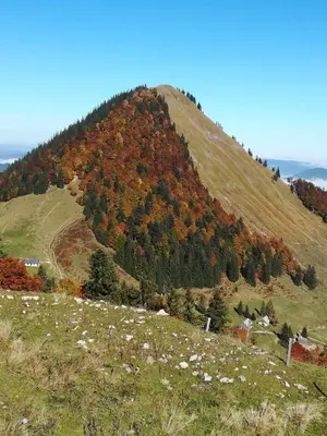 Naturlandschaft in der Nähe der Ferienwohnung