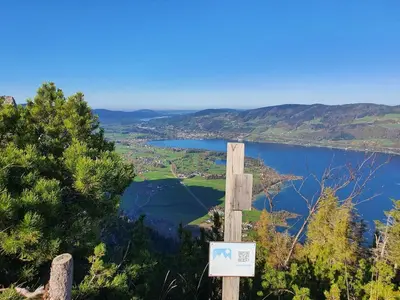Naturlandschaft in der Nähe der Ferienwohnung