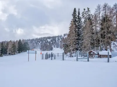 Deluxe Zirberl Top 5 im Winter