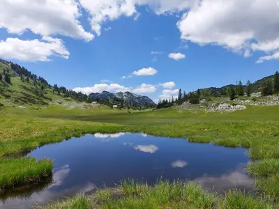 Naturlandschaft in der Nähe der Ferienwohnung
