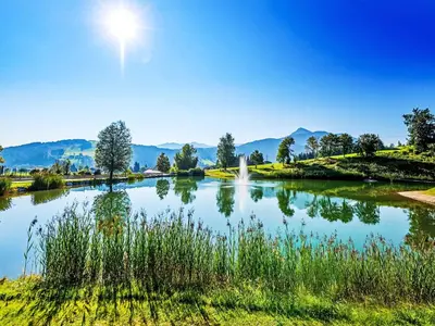 Naturlandschaft in der Nähe der Ferienwohnung