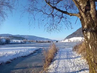 Naturlandschaft in der Nähe der Ferienwohnung