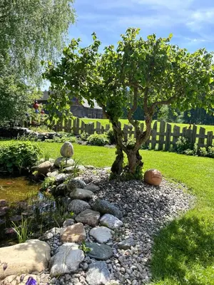 Ein Garten an der Unterkunft Pension Edelweiß Mitterberg