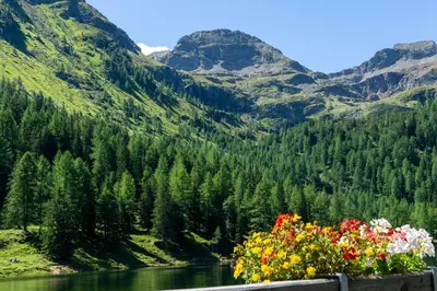 Naturlandschaft in der Nähe der Ferienwohnung