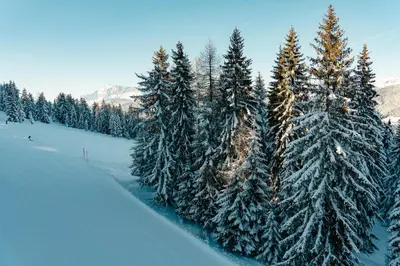 Grundriss der Unterkunft Chalet Auhof