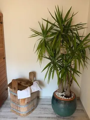 Grundriss der Unterkunft Villa Wastl