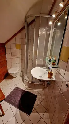 Ein Badezimmer in der Unterkunft Sonnleiten Zimmer 4