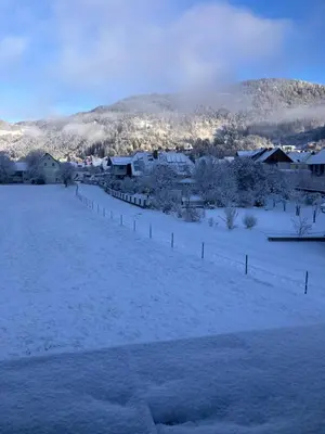 Ferienhaus Freiraum im Winter