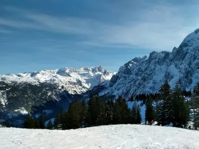 Lissis Alpennest im Winter