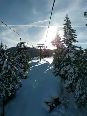 Lissis Alpennest im Winter