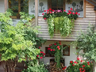 Ein Garten an der Unterkunft Casa Sauschneider