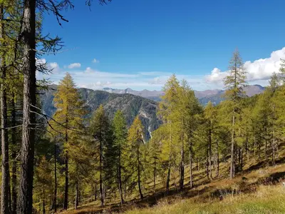Naturlandschaft in der Nähe des Ferienhauses