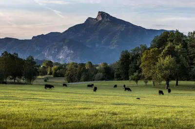 Naturlandschaft in der Nähe des Privatzimmers