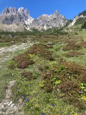 Naturlandschaft in der Nähe der Ferienwohnung