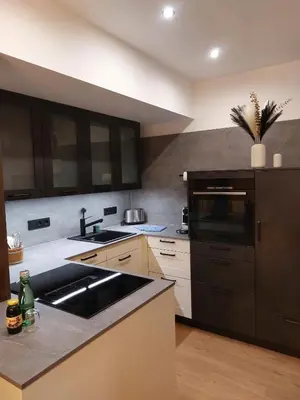 Küche/Küchenzeile in der Unterkunft Apartments-Salzkammergut Hallstättersee