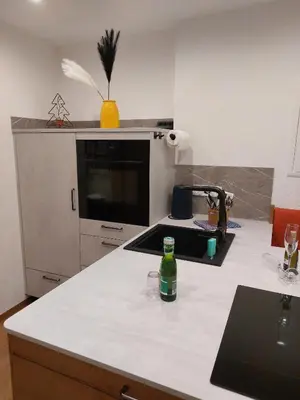 Küche/Küchenzeile in der Unterkunft Apartments-Salzkammergut Gosausee