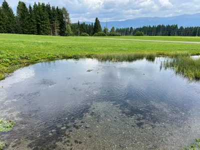 Naturlandschaft in der Nähe der Ferienwohnung