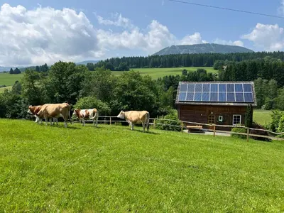 Naturlandschaft in der Nähe der Ferienwohnung