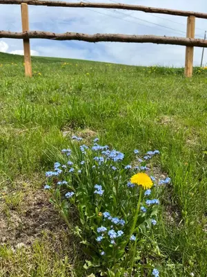 Naturlandschaft in der Nähe der Ferienwohnung