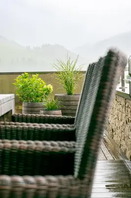 Naturlandschaft in der Nähe der Ferienwohnung