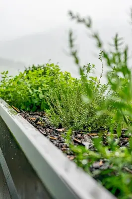 Ein Garten an der Unterkunft Alpenloft 204, NEU ab 2025