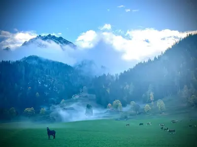Naturlandschaft in der Nähe der Ferienwohnung