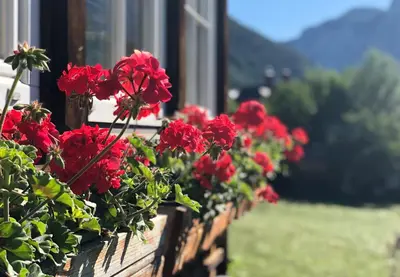 Ein allgemeiner Bergblick oder ein Berglick von der Villa aus