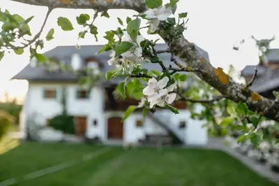 Ein Garten an der Unterkunft Landhaus am Fuschlsee