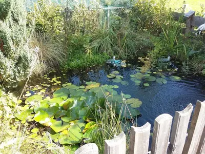 Ein Garten an der Unterkunft Chalet in Einach nahe Skipisten