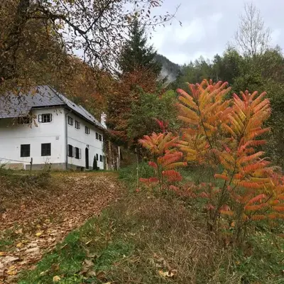 Forsthaus Gut Traunfried
