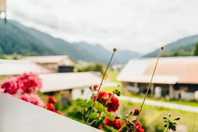 Ein allgemeiner Bergblick oder ein Berglick von der Ferienwohnung aus