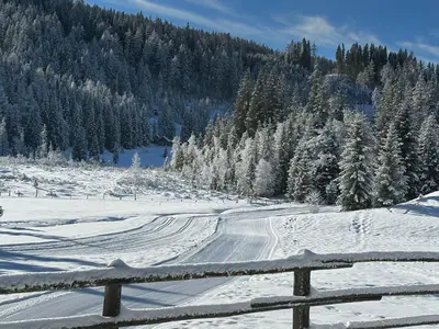 Apartments Schrim im Winter