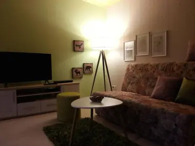 TV/Unterhaltungsangebot in der Unterkunft Blum - vom Ende Comfortable holiday residence