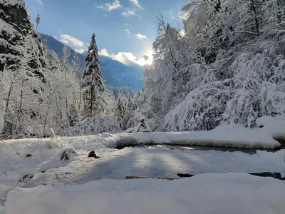 Naturlandschaft in der Nähe des Ferienhauses