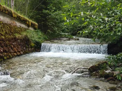 Naturlandschaft in der Nähe des Ferienhauses