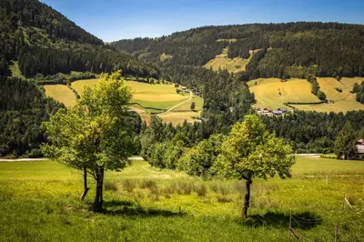 Naturlandschaft in der Nähe des Ferienhauses