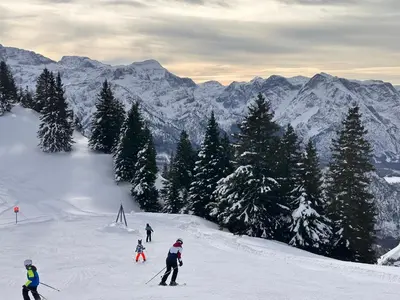 Garden Chalet - Lakes & Peaks - Scharnstein im Winter