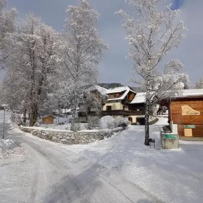 Urlaub am Bauernhof Gänser