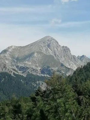 Naturlandschaft in der Nähe des Ferienhauses