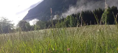 Naturlandschaft in der Nähe der Ferienwohnung