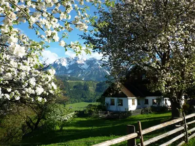 Naturlandschaft in der Nähe der Ferienwohnung