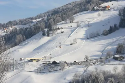 Fenzhof im Winter