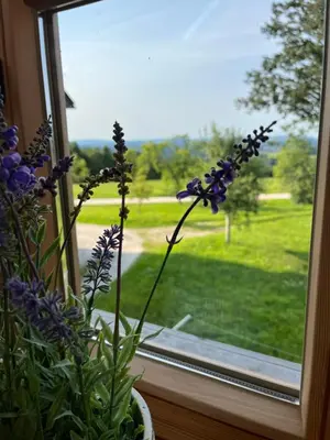 Ein Garten an der Unterkunft Ferienwohnung nähe Attersee - Traunsee LEHNER IM WALD charmantes Bauernhaus in Alleinlage
