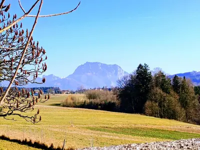 Naturlandschaft in der Nähe der Ferienwohnung