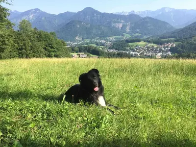 Ein allgemeiner Bergblick oder ein Berglick von der Ferienwohnung aus