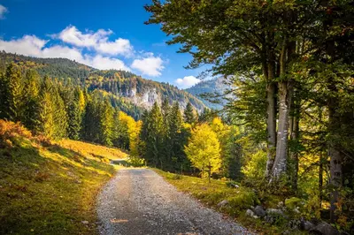 Naturlandschaft in der Nähe der Ferienwohnung