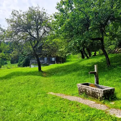 Ein Garten an der Unterkunft Hütten-Idylle im Naturparadies