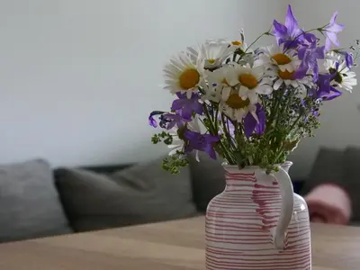 Grundriss der Unterkunft Apartment Rosa