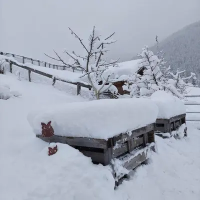 Baby- und Kinderbauernhof Montaning im Winter